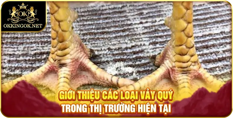 Giới thiệu các loại vảy quý trong thị trường hiện tại