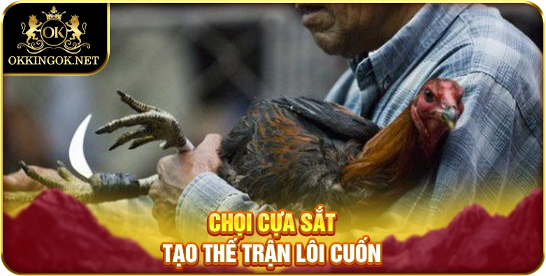 Chọi cựa sắt tạo thế trận lôi cuốn